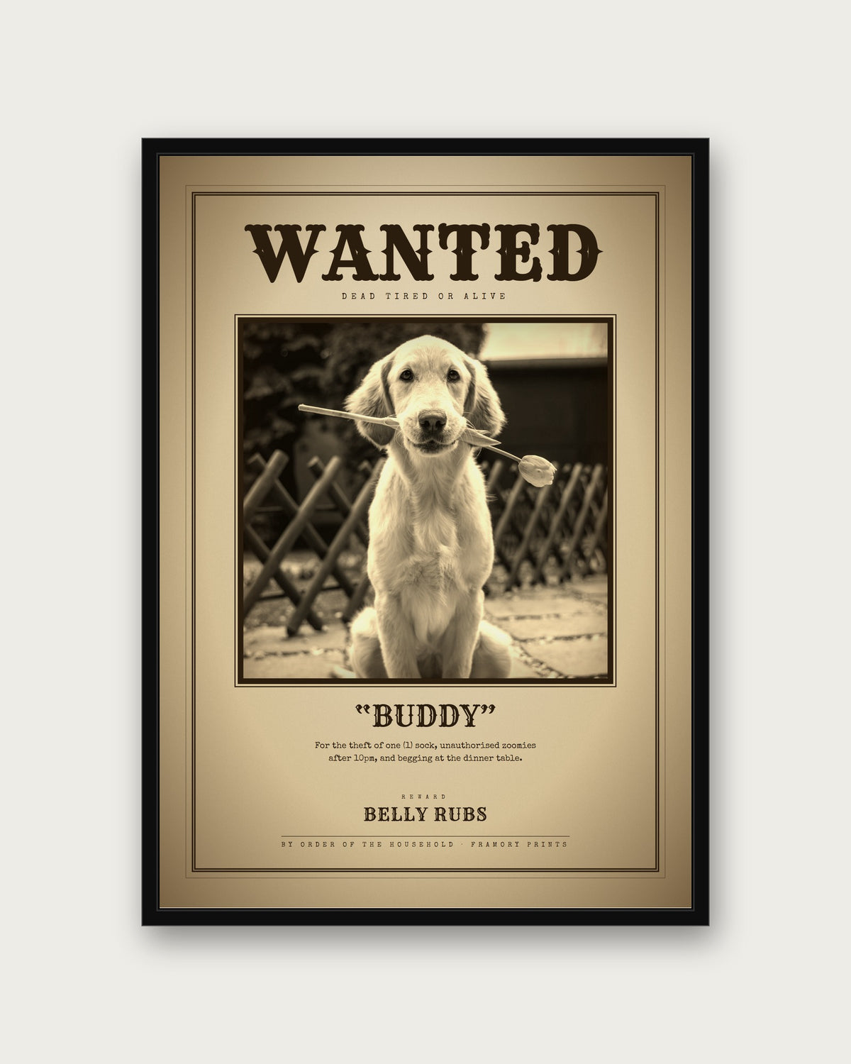 Custom Pet Poster - Wanted Edition, framed example