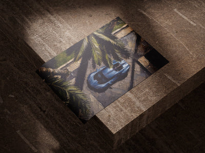 Bugatti — Aerial Palm
